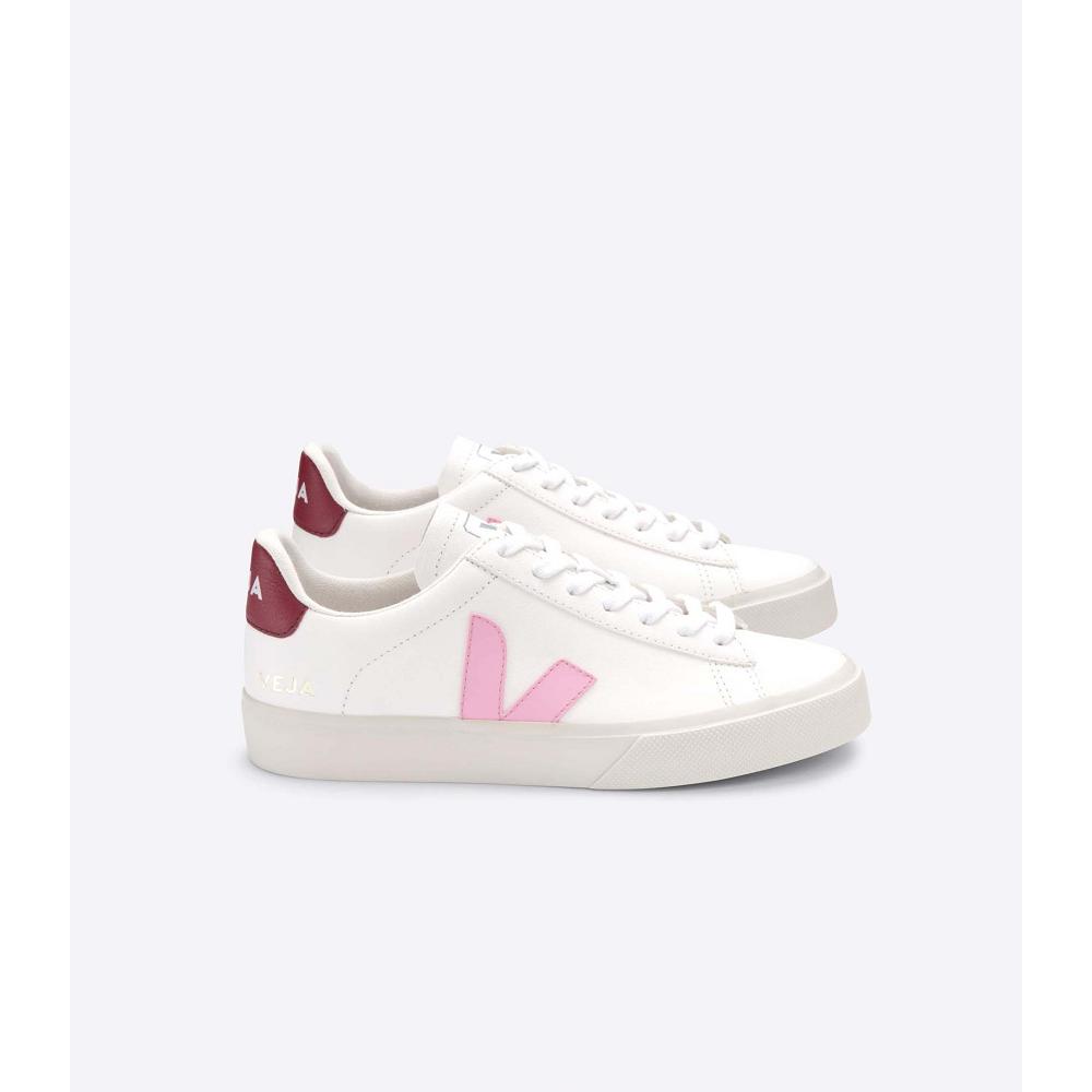 Veja CAMPO CHROMEFREE Low Tops Sneakers Heren White/Pink | NL 293YXF